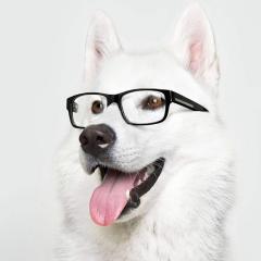ヘンナ隊長‼︎