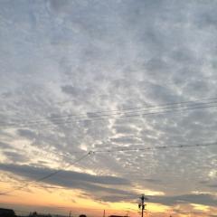 人生は思う通りになる