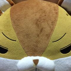 よっしー