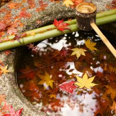 翔太郎のトーク