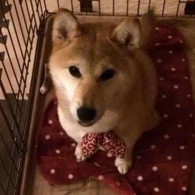 みどりのトーク