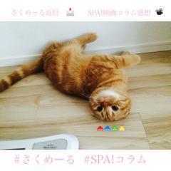 Reply・Impressions💞