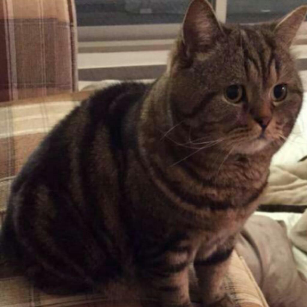 ▼あかり▲☞浮き輪女子