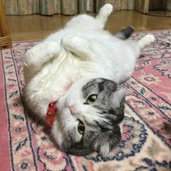 おからの部屋