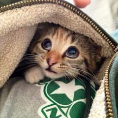 大学生の憂鬱な日々