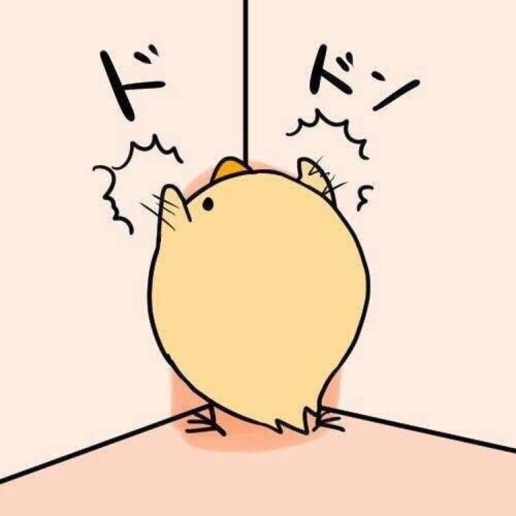 たいたいのトーク