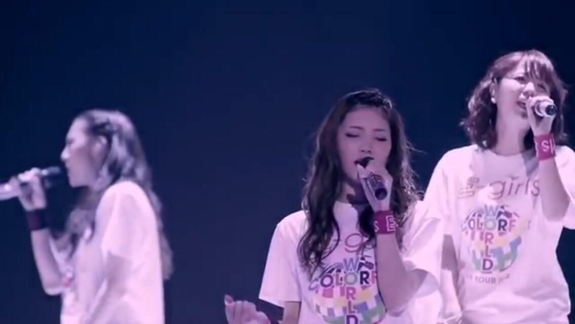 ๆ็จฟ็ปๅ