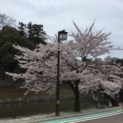 火曜日のトーク