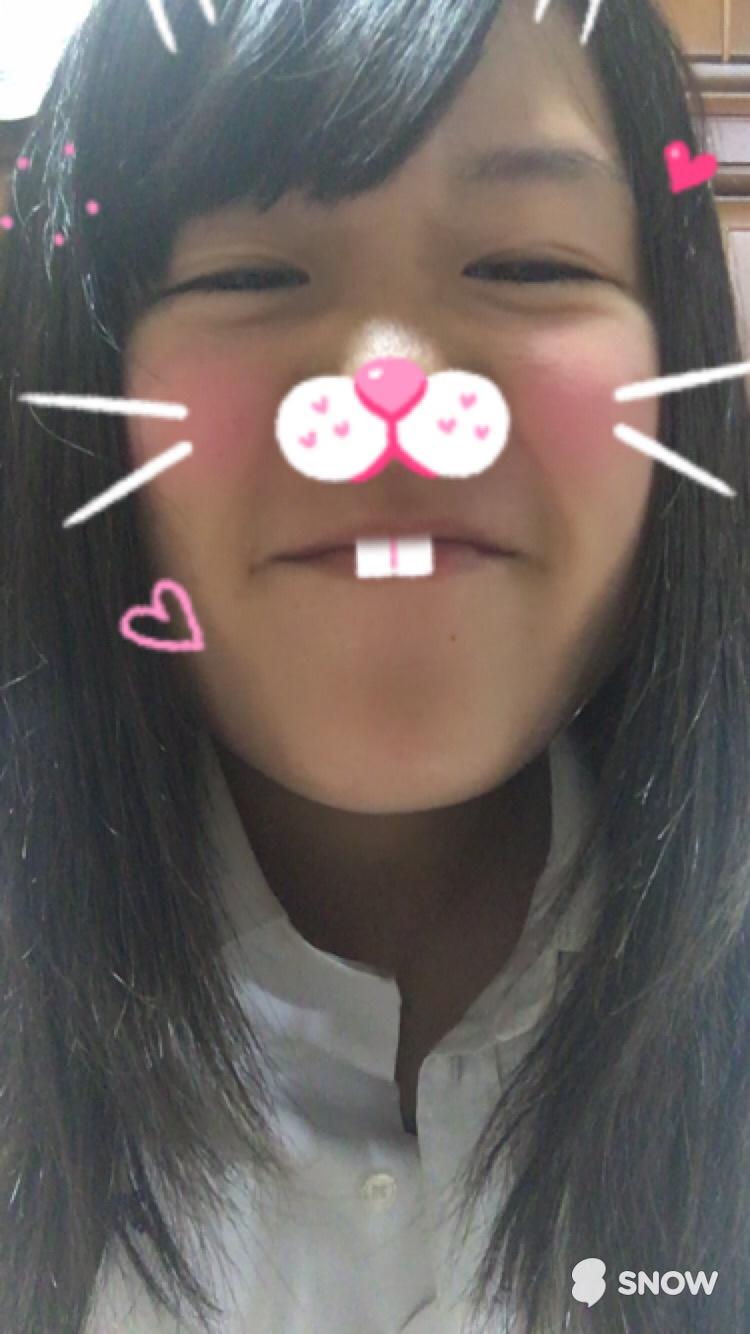 ๆ็จฟ็ปๅ