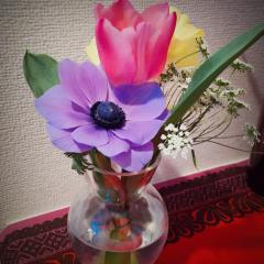 anemone