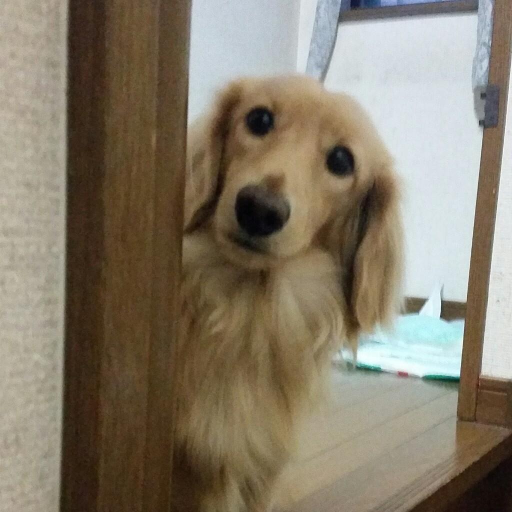 ともきち