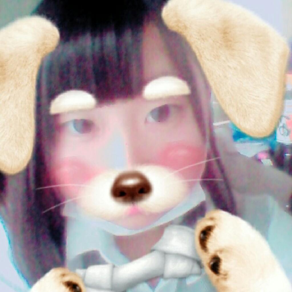 にゃーんのトーク