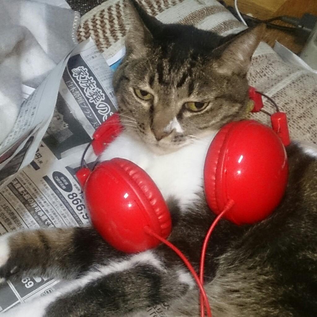 よしふみ☆