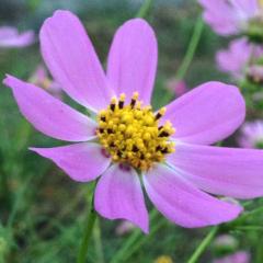 季節の写真と和み♬*゜