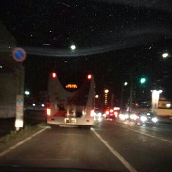 写真部(￣∀￣*)ｲﾋｯ