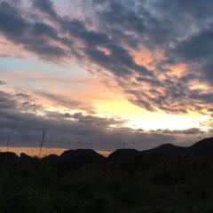 増山 拓紀