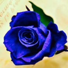 blue_rose