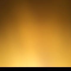 (情報部)のんてぃーず白猫部屋
