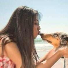 詩の夢(日本语难しい)のトーク