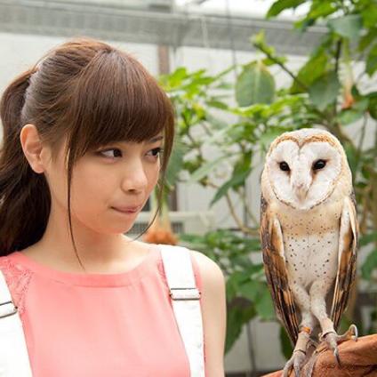 しゅーや