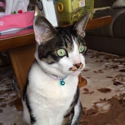 タケシタ氏©︎のトーク