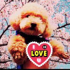 愛犬やお花のこと大好きなNMB48についてトークしていきます。