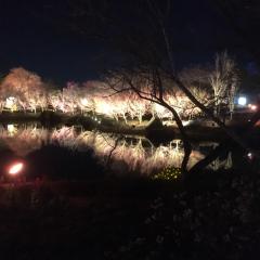 なにやらトークを出来る部屋らしいよ