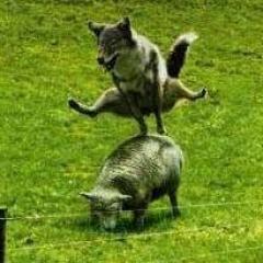 はにゆまなねろやたぬむ