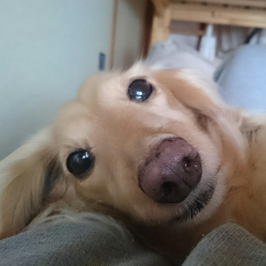 仲良く話をしましょう！女性来てね✨