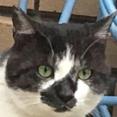 ひまちゃーん笑笑