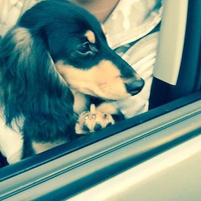 こうたのトーク