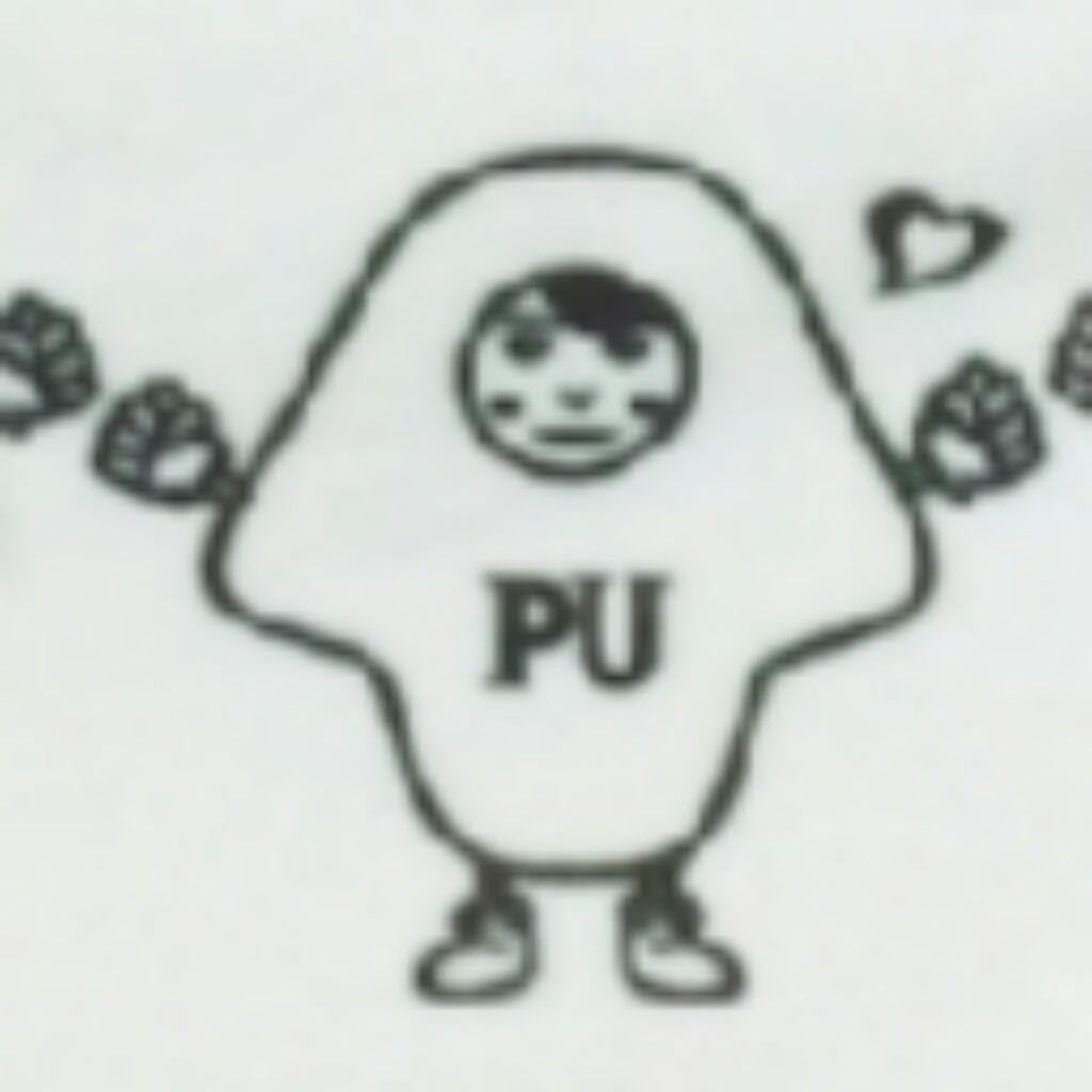 ぽんこつちーふ