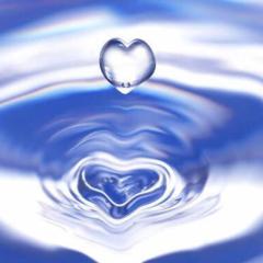 最近、購入した曲