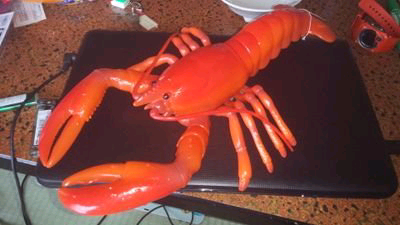 神成吾郎