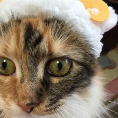 まりか✩スフィア