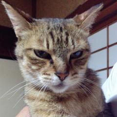 ゆーかりのトーク