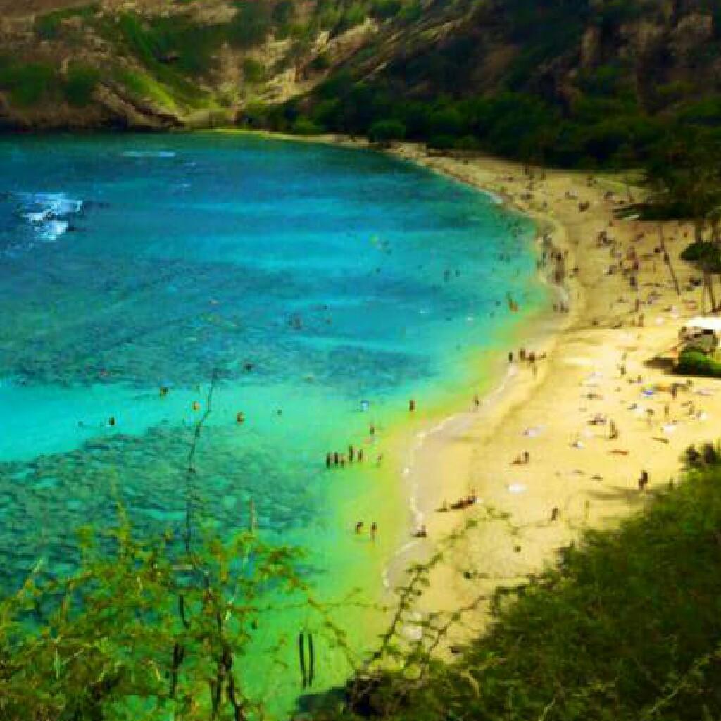 ハワイ２ヶ月滞在して