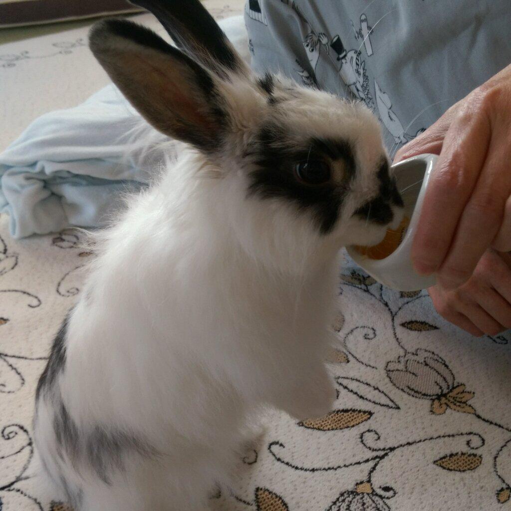 よしきです！！