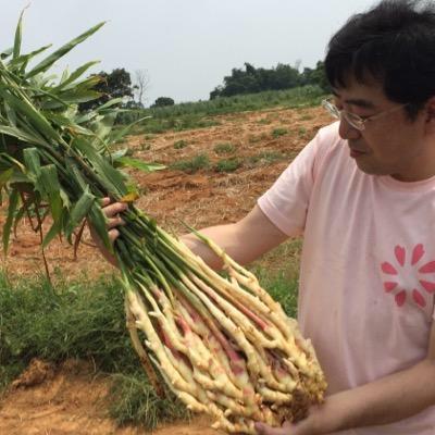 岩下 和了のトーク