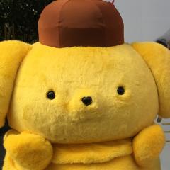 ゆっぽ
