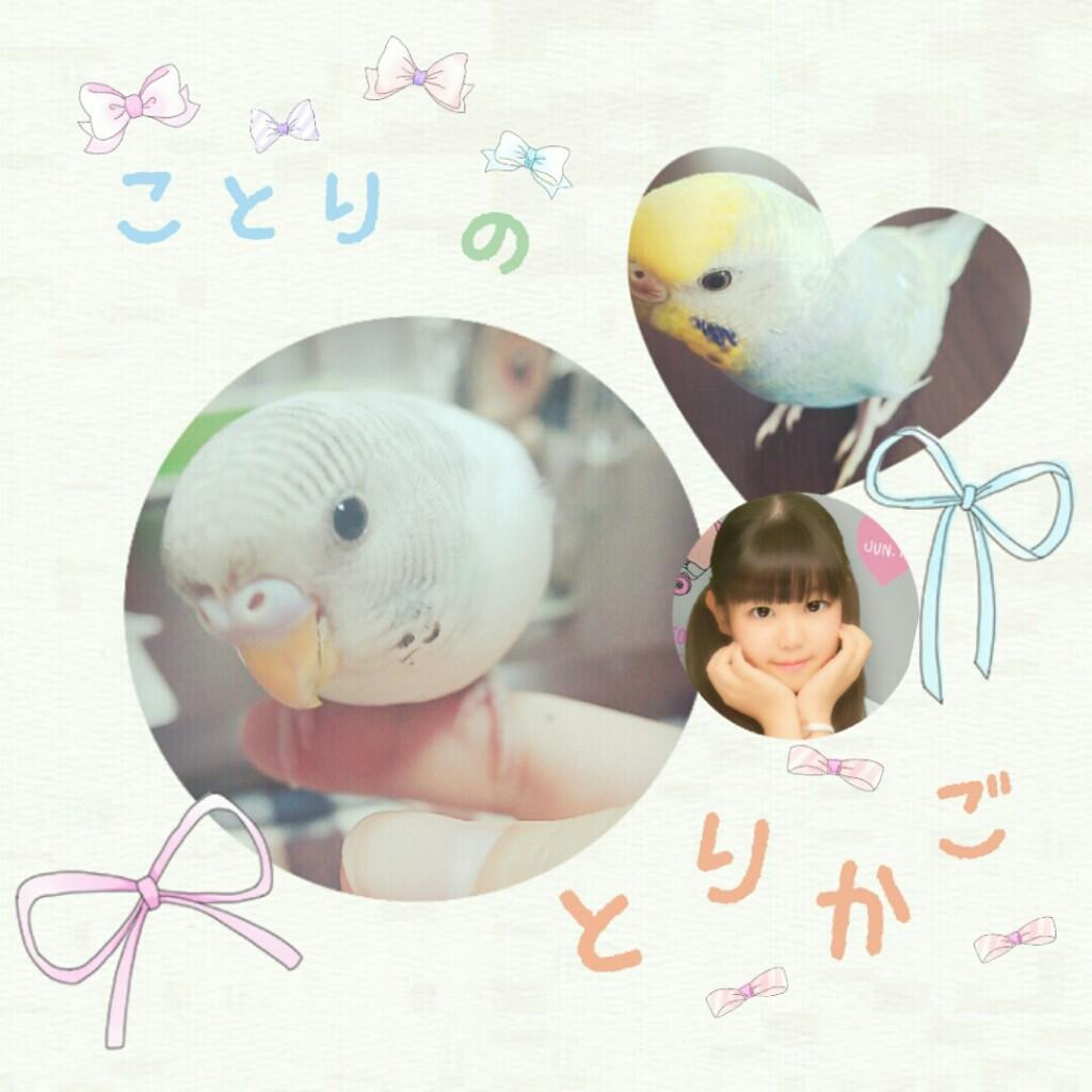 🌸ことりのとりかご。🌸
