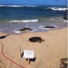 cooking-catのトーク