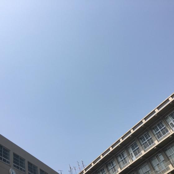 おいおいオイオイ