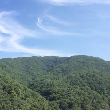 ひなた