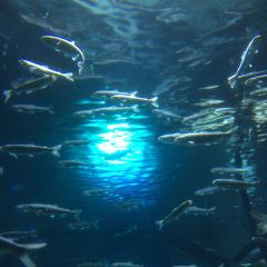 甘えてほしいな（≧∇≦）