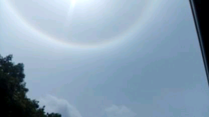 ユイ　ヒナギクのトーク