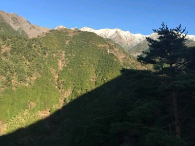 すたーら@あしゅらー(仮)