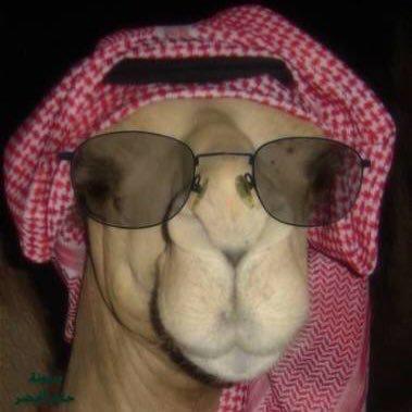 Miyamoto マキシミリアンのトーク