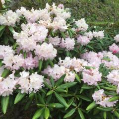 30代･40代･50代のトーク部屋