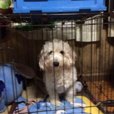 白木龍生のトーク